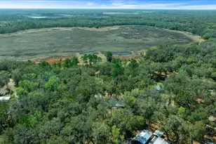 5590 E Hwy 316, Citra, FL 32113 - Photo 29