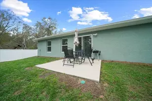 41 Fisher Way Run, Ocklawaha, FL 32179 - Photo 29