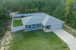 41 Fisher Way Run, Ocklawaha, FL 32179 - Photo 33
