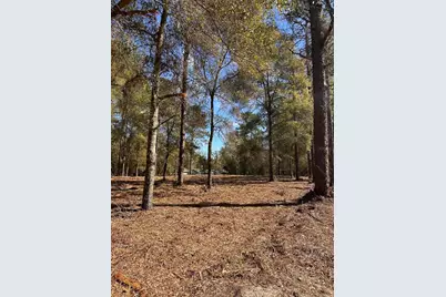 0 W Hwy 40, Ocala, FL 34481 - Photo 5