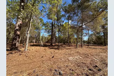 0 W Hwy 40, Ocala, FL 34481 - Photo 3