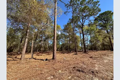 0 W Hwy 40, Ocala, FL 34481 - Photo 11