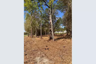 0 W Hwy 40, Ocala, FL 34481 - Photo 7