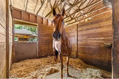 13646 N US Highway 27, Ocala, FL 34482 - Photo 89