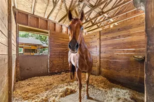 13646 N US Hwy 27, Ocala, FL 34482 - Photo 89