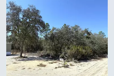 00 NE 67th Place, Williston, FL 32696 - Photo 3