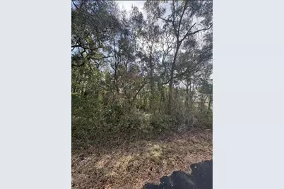 Tbd Locust Loop Terrace, Ocala, FL 34472 - Photo 1