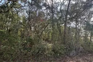 Tbd Locust Loop Terrace, Ocala, FL 34472 - Photo 1