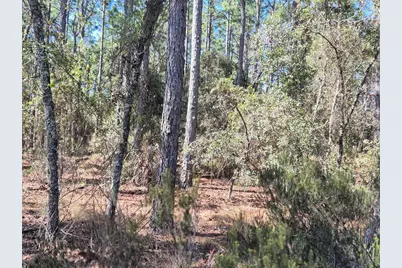 00 NE 137th Avenue, Williston, FL 32696 - Photo 7