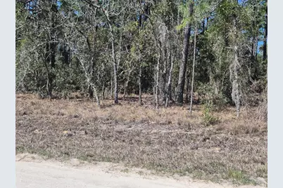 00 NE 137th Avenue, Williston, FL 32696 - Photo 3