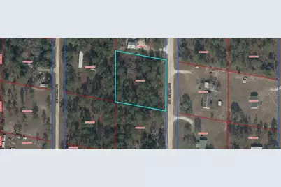 00 NE 137th Avenue, Williston, FL 32696 - Photo 1