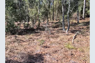 00 NE 137th Avenue, Williston, FL 32696 - Photo 5
