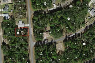 8360 N Trojan Dr, Citrus Springs, FL 34433 - Photo 1