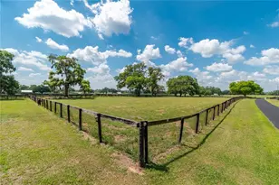 13025 NW Gainesville Rd, Reddick, FL 32686 - Photo 61