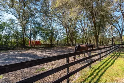 10 Carry Back Road, Ocala, FL 34482 - Photo 59