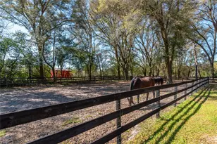 10 Carry Back Rd, Ocala, FL 34482 - Photo 59