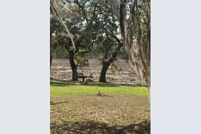 17645 NE 61st Street Road, Silver Springs, FL 34488 - Photo 13