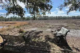 17645 NE 61st Street Rd, Silver Springs, FL 34488 - Photo 41