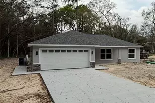 8 Bay Pass Terrace, Ocklawaha, FL 32179 - Photo 1