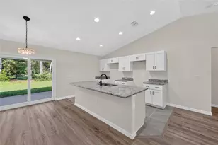 6 Bay Pass Terrace, Ocklawaha, FL 32179 - Photo 11