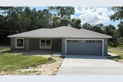 6 Bay Pass Terrace, Ocklawaha, FL 32179 - Photo 1