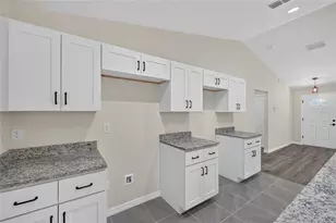 6 Bay Pass Terrace, Ocklawaha, FL 32179 - Photo 15