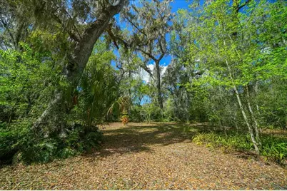 5028 E Highway 316, Citra, FL 32113 - Photo 29