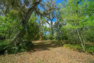 5028 E Hwy 316, Citra, FL 32113 - Photo 29