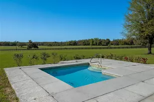 15157 NW 112th Place Rd, Morriston, FL 32668 - Photo 7