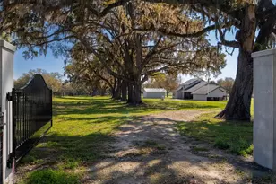 15157 NW 112th Place Rd, Morriston, FL 32668 - Photo 3