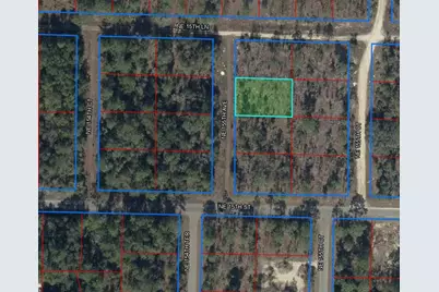 Tbd NE 155th Avenue, Williston, FL 32696 - Photo 1