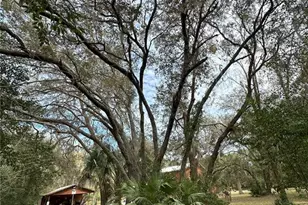 596 State Road 20, Palatka, FL 32177 - Photo 13