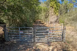 596 State Road 20, Palatka, FL 32177 - Photo 27