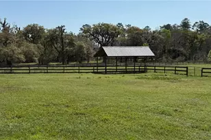 7905 NW 118th Ct, Ocala, FL 34482 - Photo 1