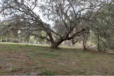 11234 SE 121st Lane Road, Belleview, FL 34420 - Photo 19