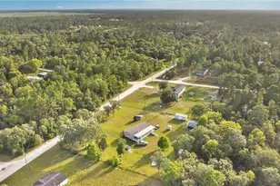 12531 NE 18 St, Williston, FL 32696 - Photo 15