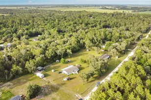 12531 NE 18 St, Williston, FL 32696 - Photo 19