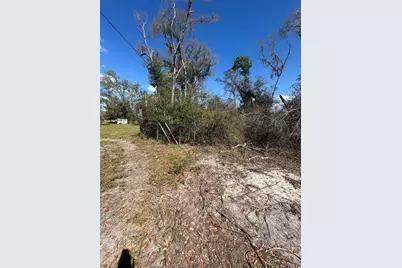 Ne 688th Avenue, Cross City, FL 32628 - Photo 17