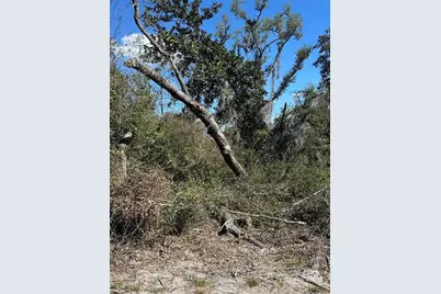 Ne 688th Avenue, Cross City, FL 32628 - Photo 7