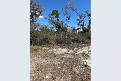 Ne 688th Avenue, Cross City, FL 32628 - Photo 21