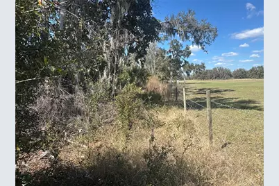 Ne 688th Avenue, Cross City, FL 32628 - Photo 15