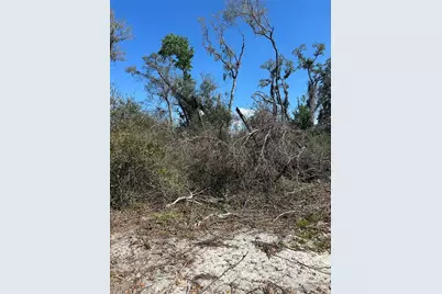 Ne 688th Avenue, Cross City, FL 32628 - Photo 19