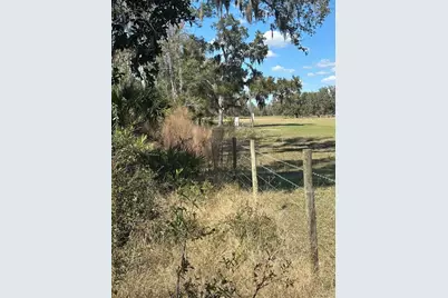 Ne 688th Avenue, Cross City, FL 32628 - Photo 13