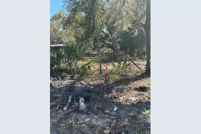 Ne 688th Avenue, Cross City, FL 32628 - Photo 11