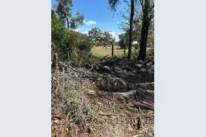 Ne 688th Avenue, Cross City, FL 32628 - Photo 9