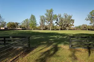 8535 NW 136th Ave Rd, Ocala, FL 34482 - Photo 31