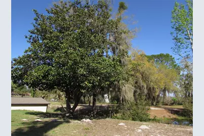 11931 N Bearl Terrace, Dunnellon, FL 34433 - Photo 37