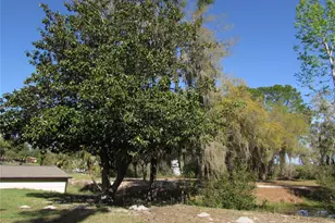 11931 N Bearl Terrace, Dunnellon, FL 34433 - Photo 37