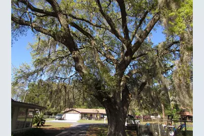 11931 N Bearl Terrace, Dunnellon, FL 34433 - Photo 27