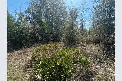 Ne 66th Lane, Bronson, FL 32621 - Photo 5